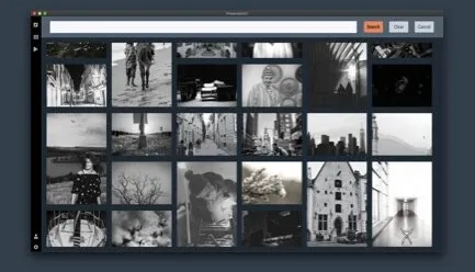  Integrated online image search 